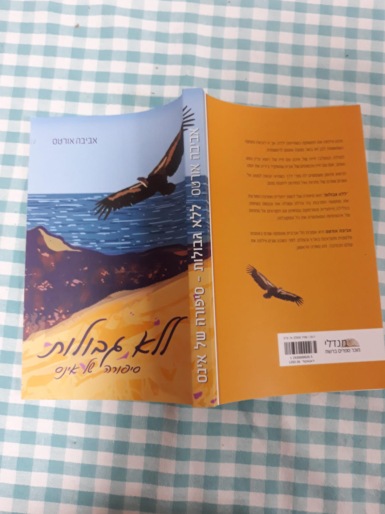 ללא גבולות סיפורה של אינס